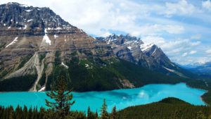 Read more about the article GREAT LiTTLE TOWN – JASPER, ALBERTA